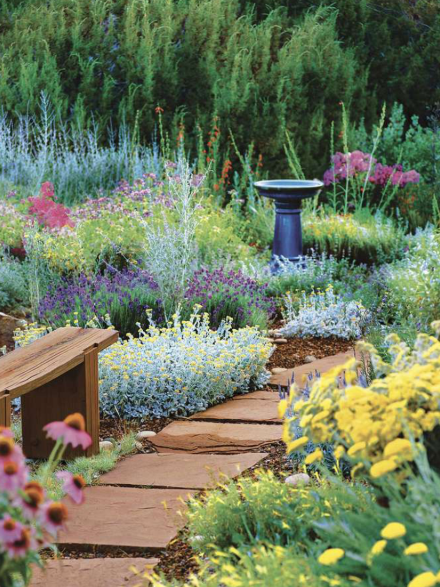 Perennials – Laporte's Nursery & Greenhouses Inc.