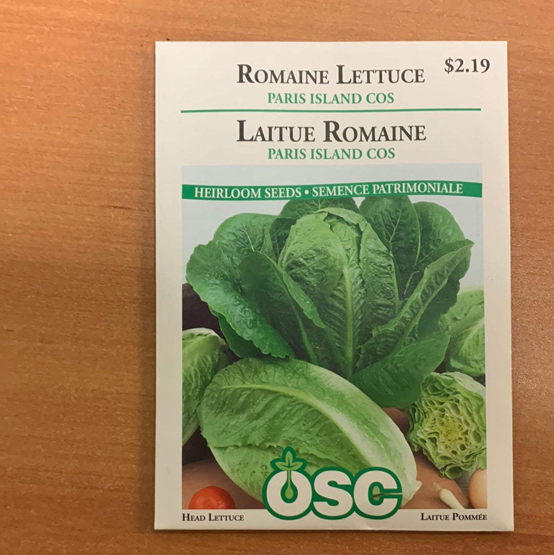 Wetsel Seed™ Paris Island Cos Romaine Lettuce - Wilson's Garden Center