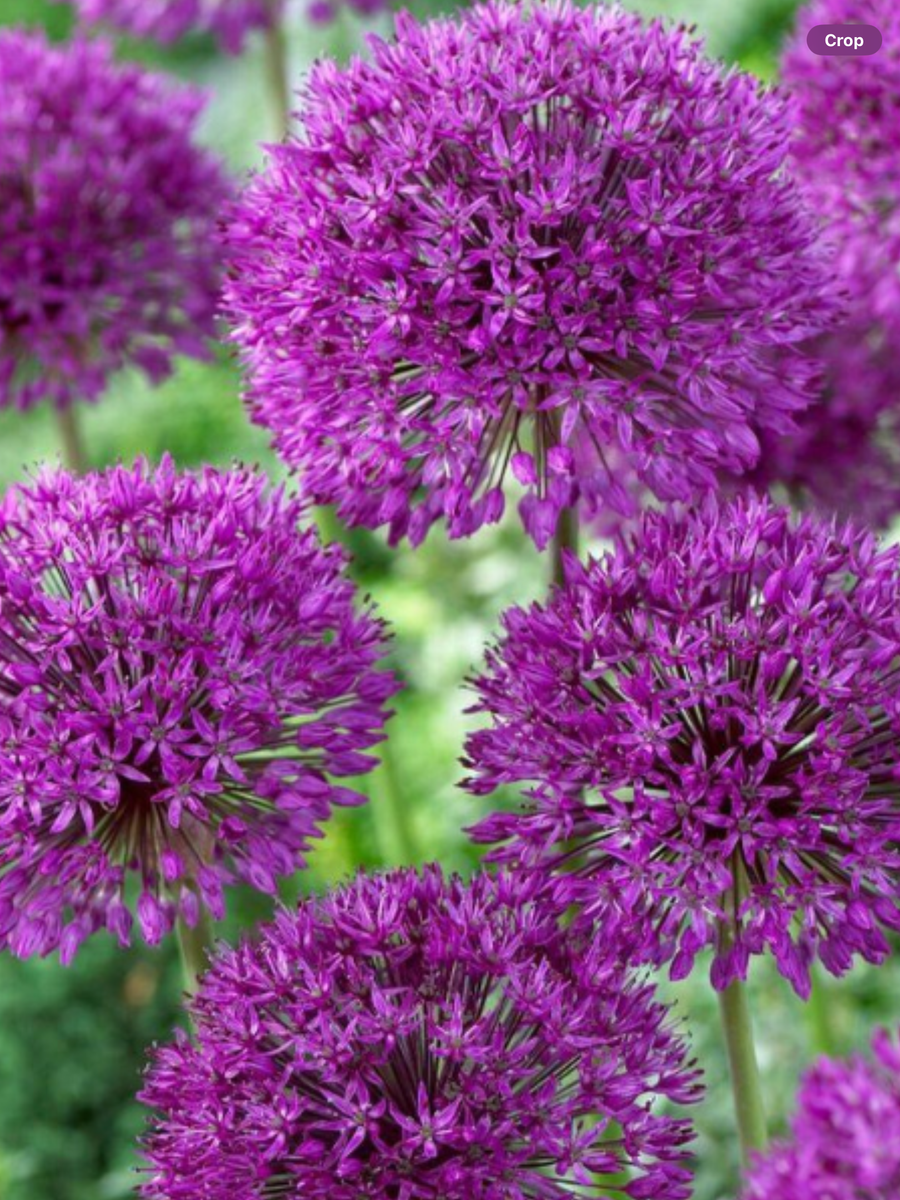 IMG-0460_eee5fd3b-5ca0-490f-