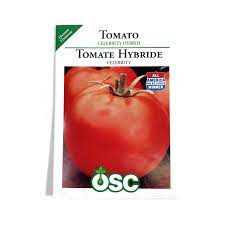 CELEBRITY HYBRID POMODORO SEEDSBULK 100 PKT CELEBRITY HYBRID POMODORO SEEDSBULK 100 PKT