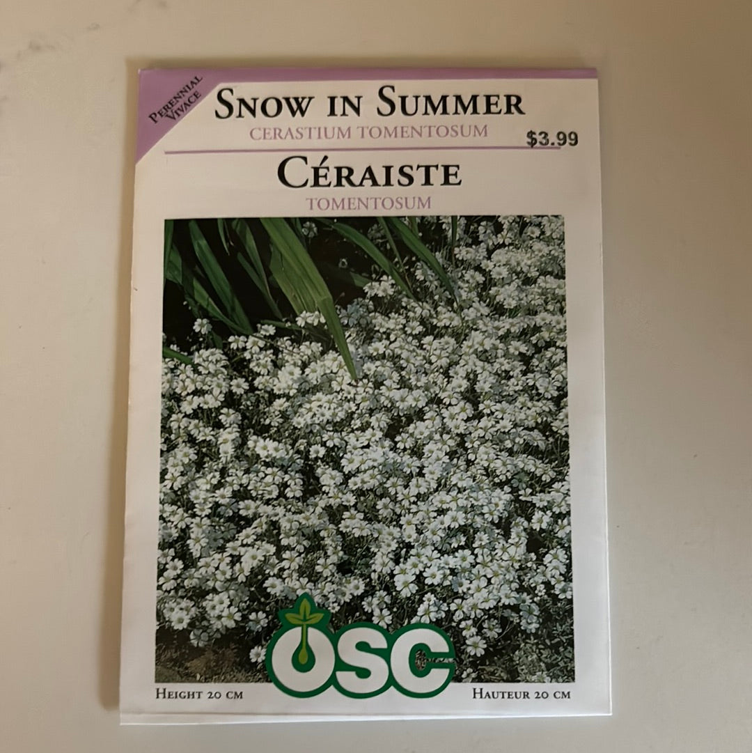 snow in summer flower seeds Snow in Summer Seed Packets