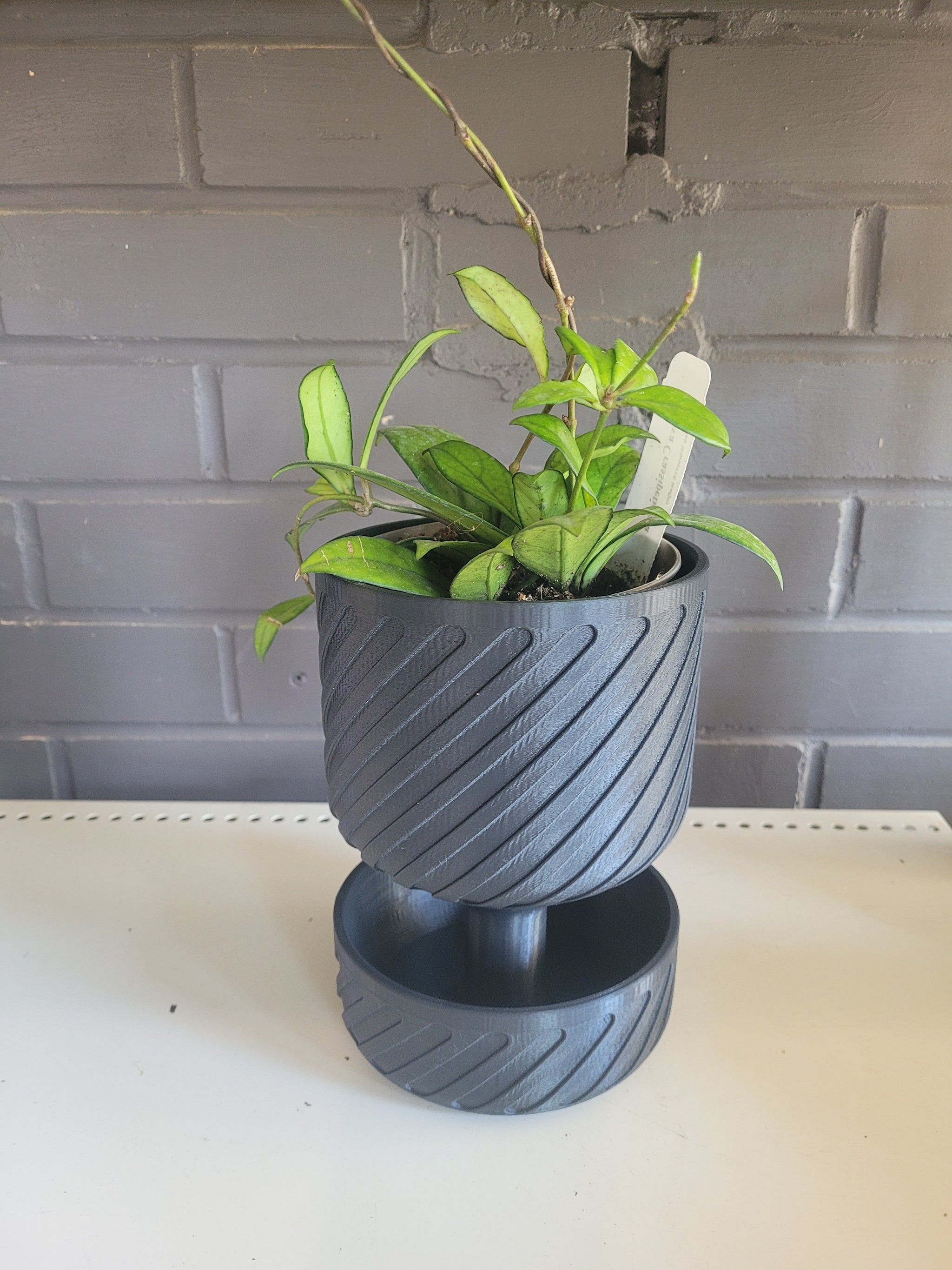3d printed plant pot 3D Printed Self-Watering plant pot 4"
