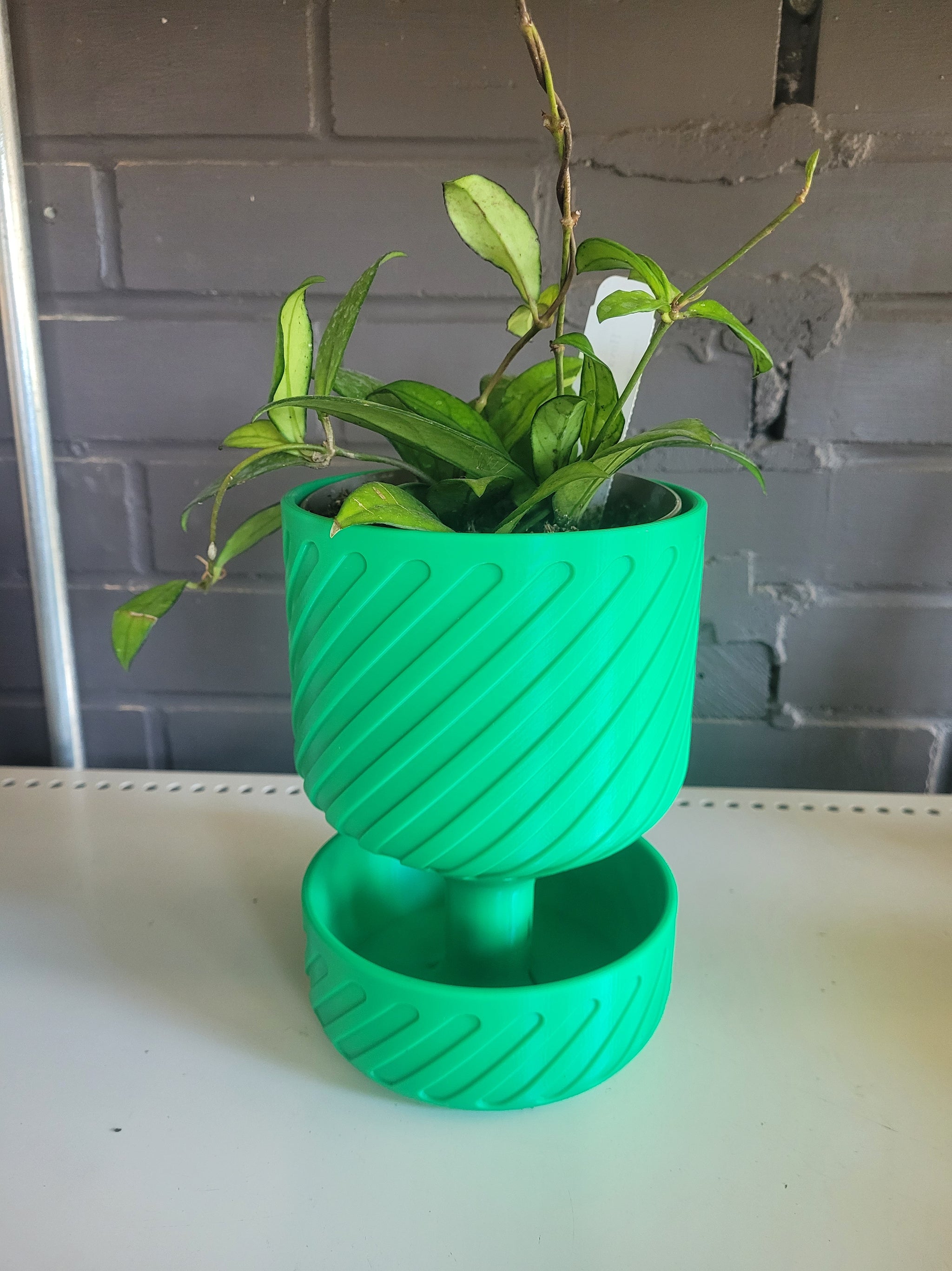 rs3 plant pot 3D Printed Self-Watering plant pot 5" – Laporte's Nursery & Greenhouses Inc