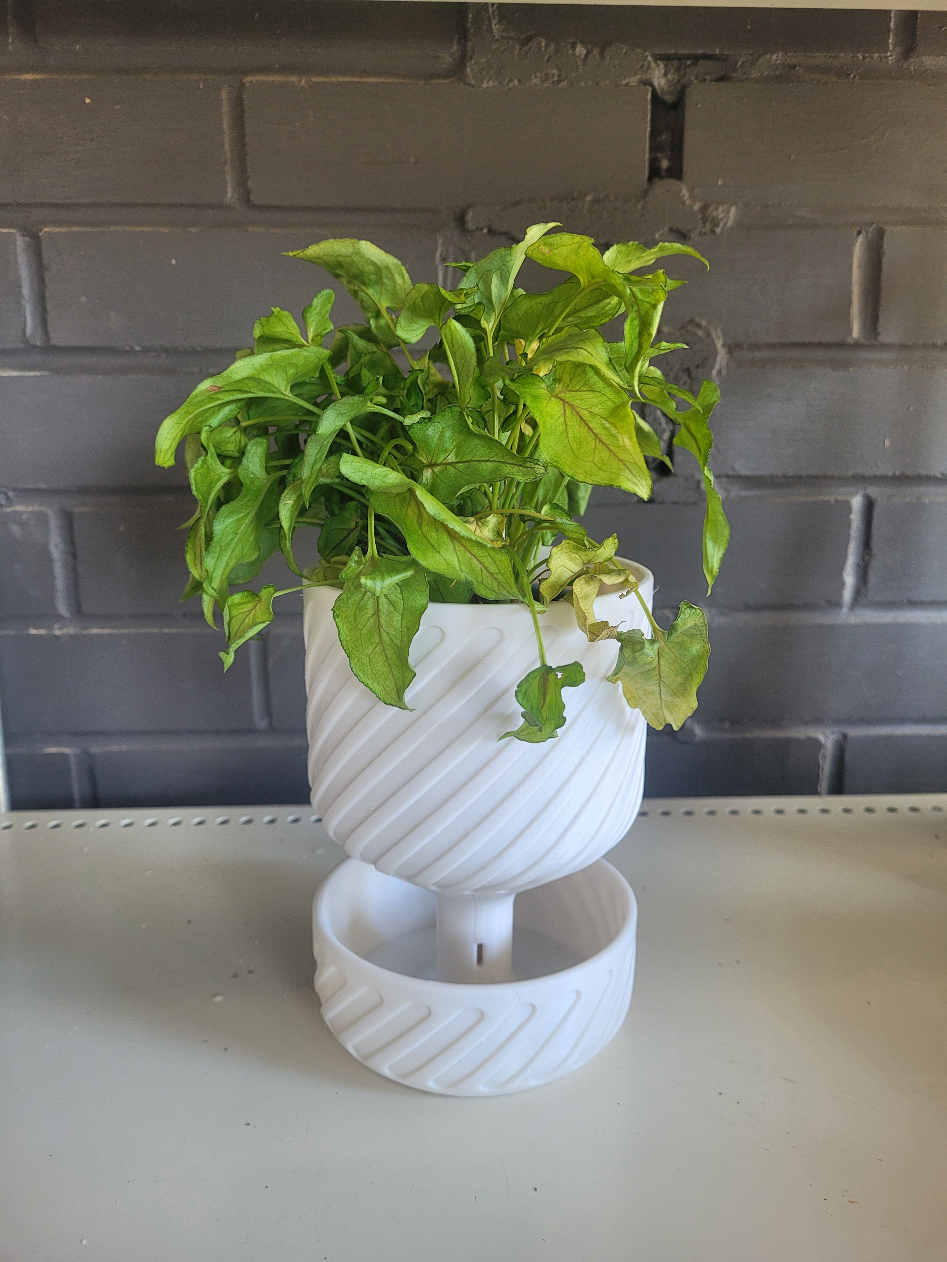 3d planter pot 3D Printed Self-Watering plant pot 4.5"