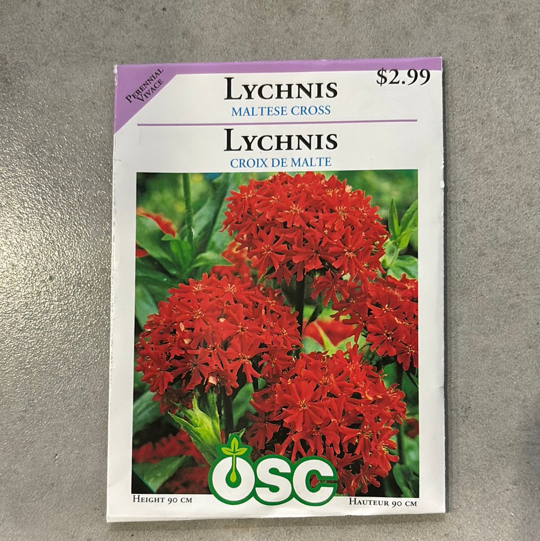 planting lychnis seeds Lychnis Seed Packets