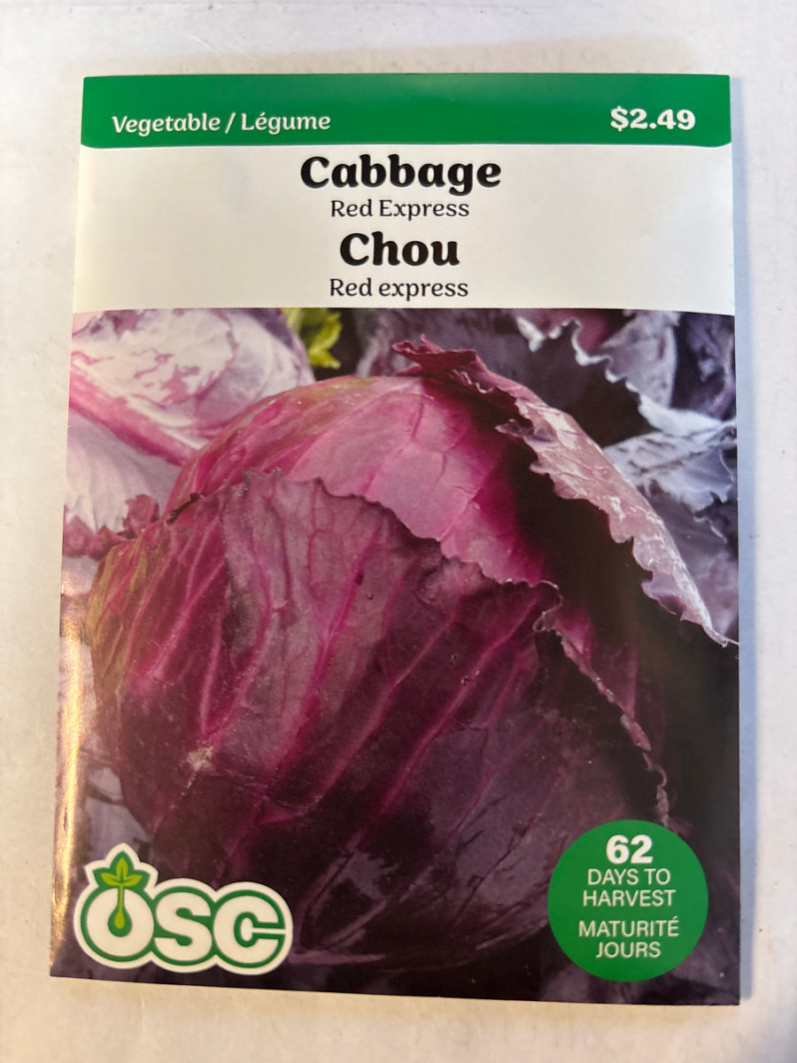 Cabbage Seed Packets - Red Express – Laporte's Nursery & Greenhouses Inc.
