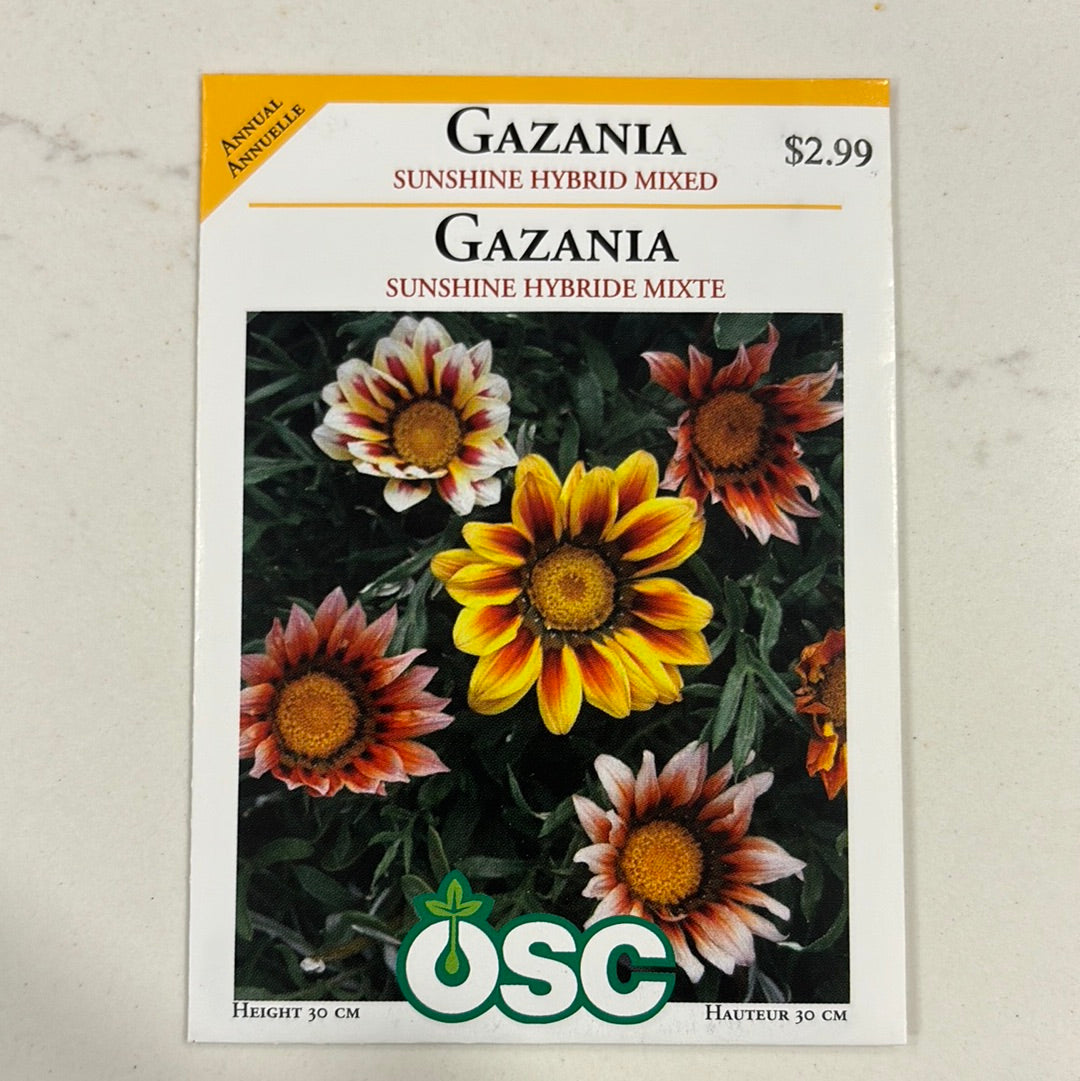 Gazania Seed Packets - Sunshine Hybrid Mixed – Laporte's Nursery ...