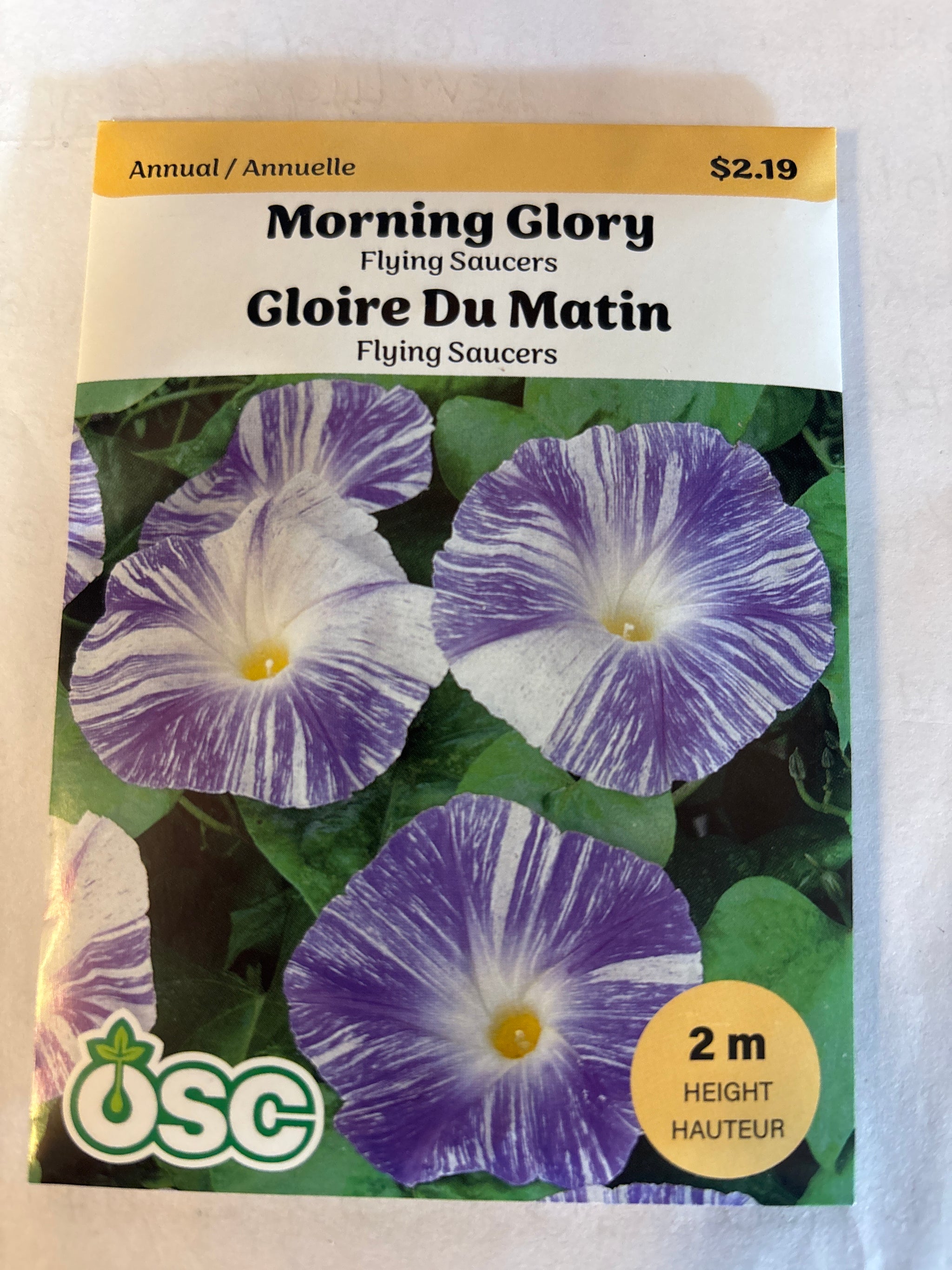 Morning Glory Seed Packets - Flying Saucers – Laporte's Nursery