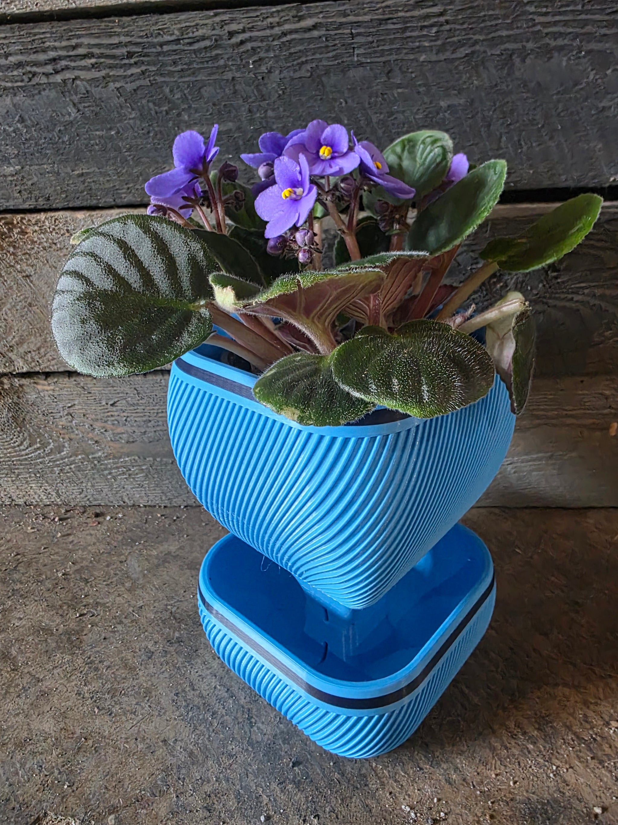 3D Printed Self-Watering Plant Pot 5.5