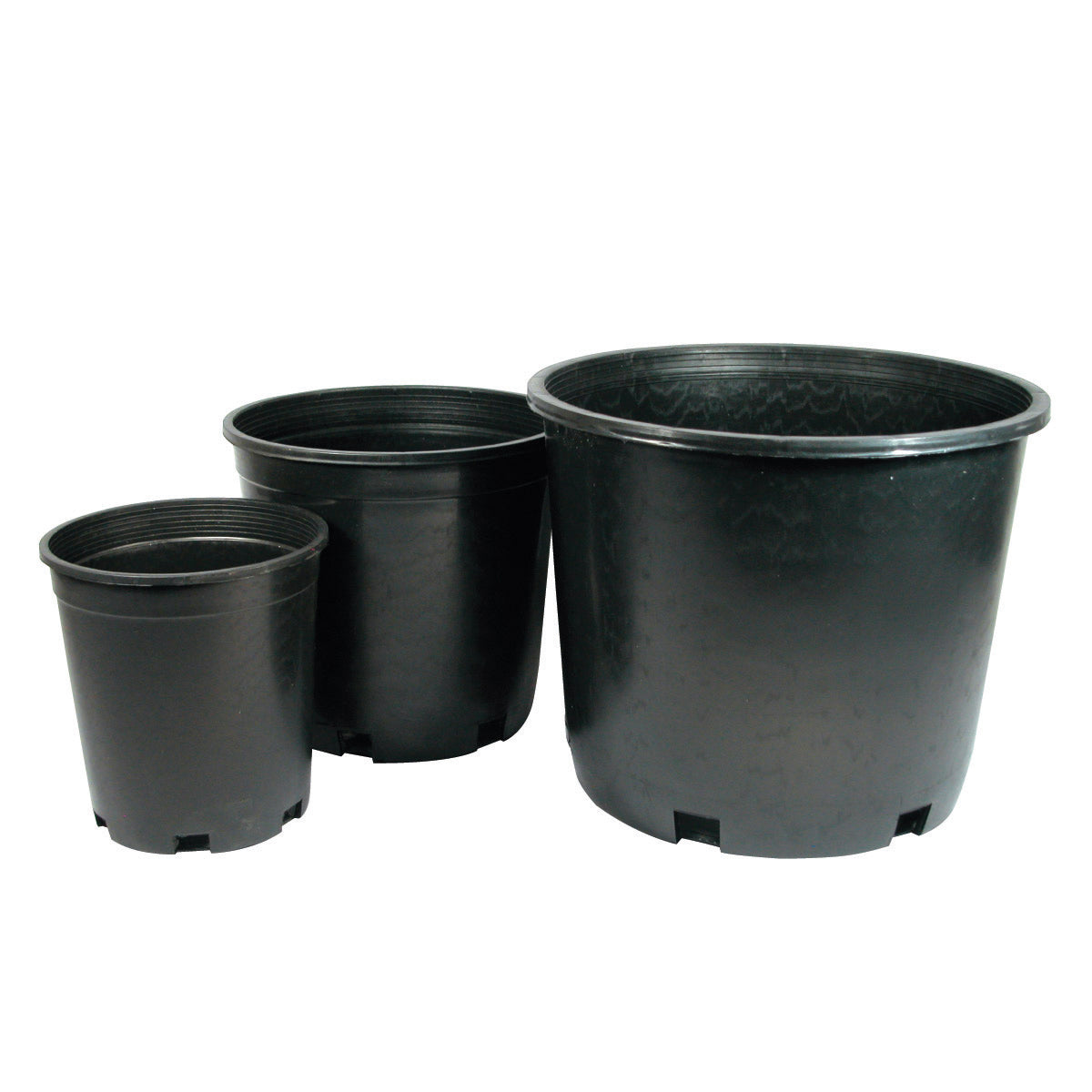 15 gallon plant pots 15-Gallon Nursery Pot