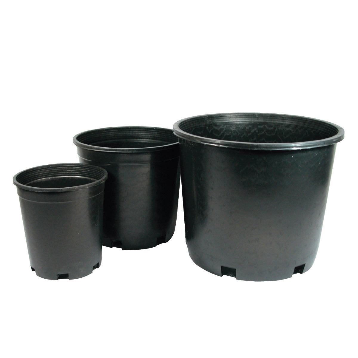 2 gallon planter pot 2-Gallon Nursery Pot