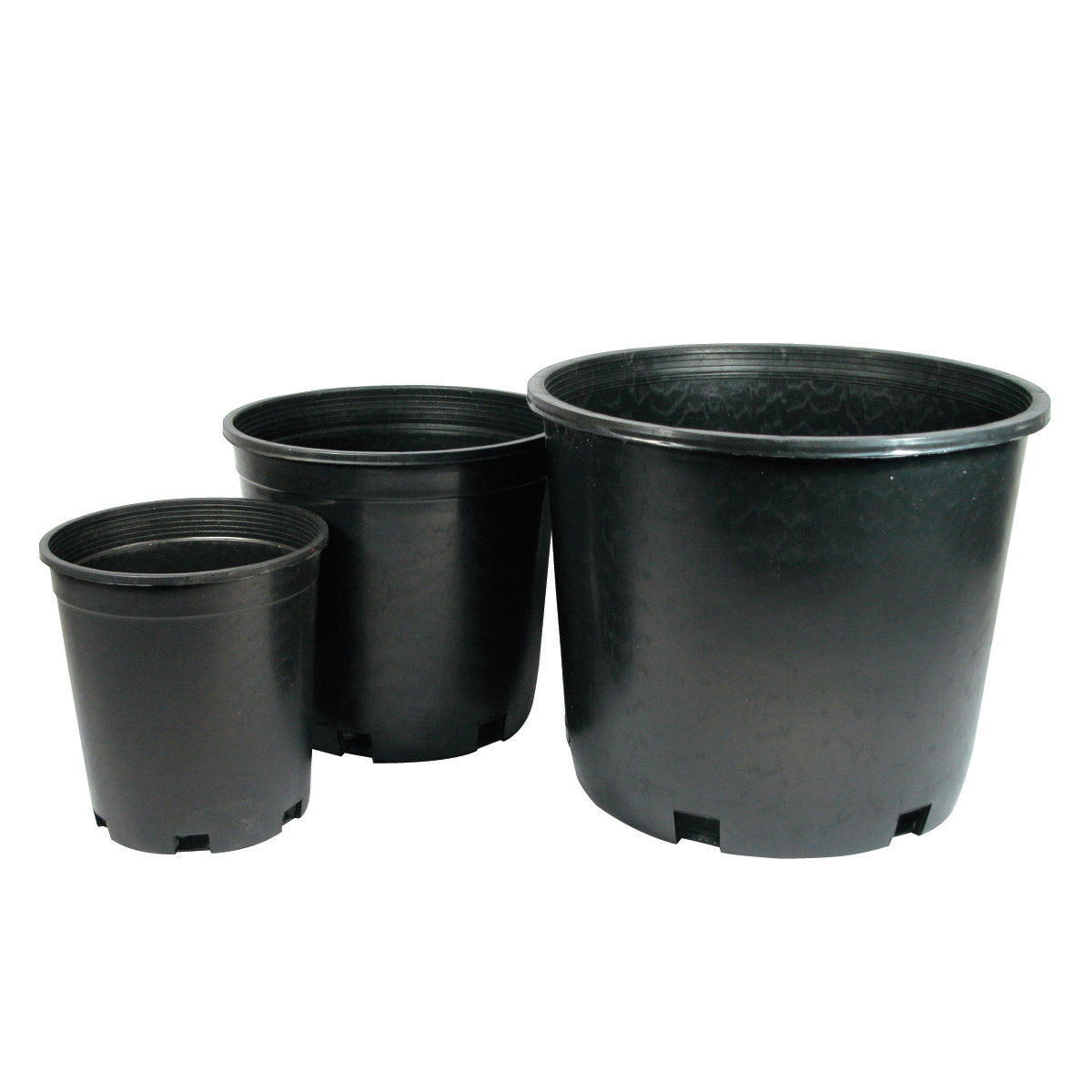 20 gallon plant pots Nursery Pot Hard Wall Black 20 gal
